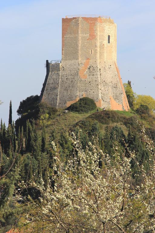 La Terrazza Sulla Val D'Orcia Apartman Castiglione dʼOrcia Kültér fotó