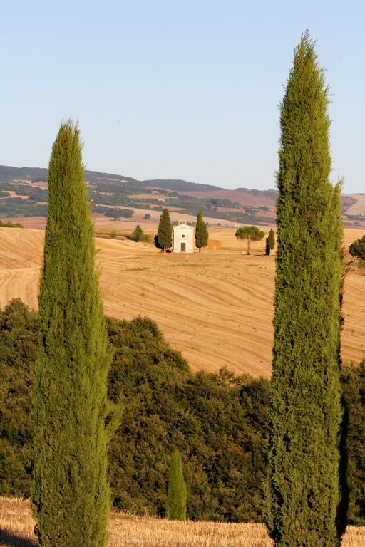 La Terrazza Sulla Val D'Orcia Apartman Castiglione dʼOrcia Kültér fotó