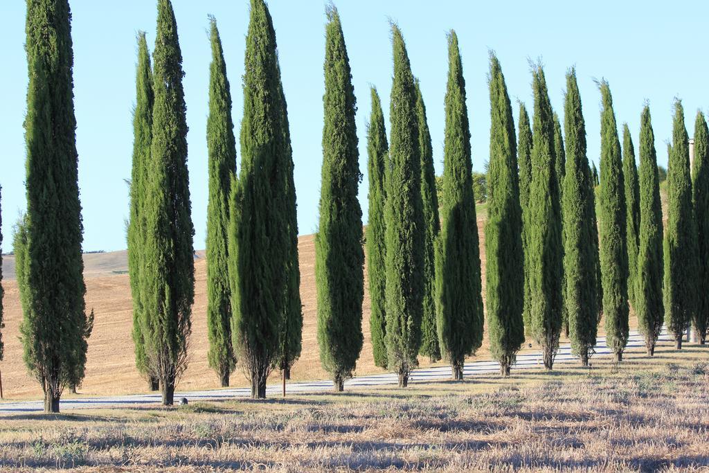 La Terrazza Sulla Val D'Orcia Apartman Castiglione dʼOrcia Kültér fotó