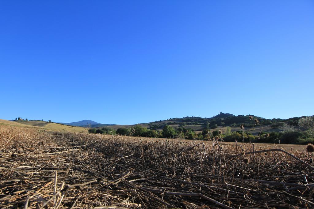 La Terrazza Sulla Val D'Orcia Apartman Castiglione dʼOrcia Kültér fotó