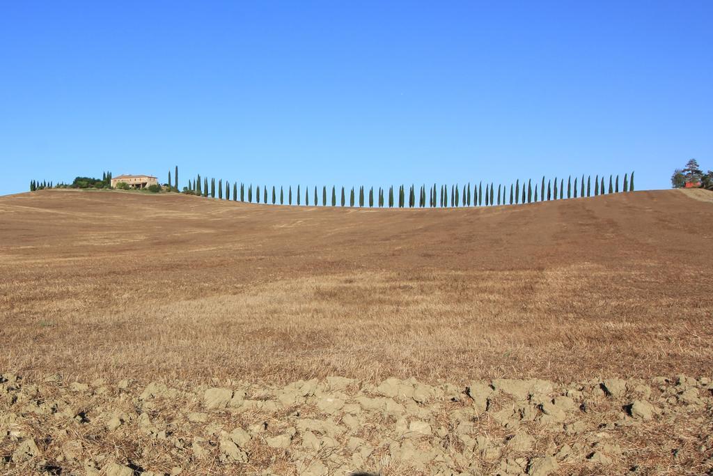 La Terrazza Sulla Val D'Orcia Apartman Castiglione dʼOrcia Kültér fotó