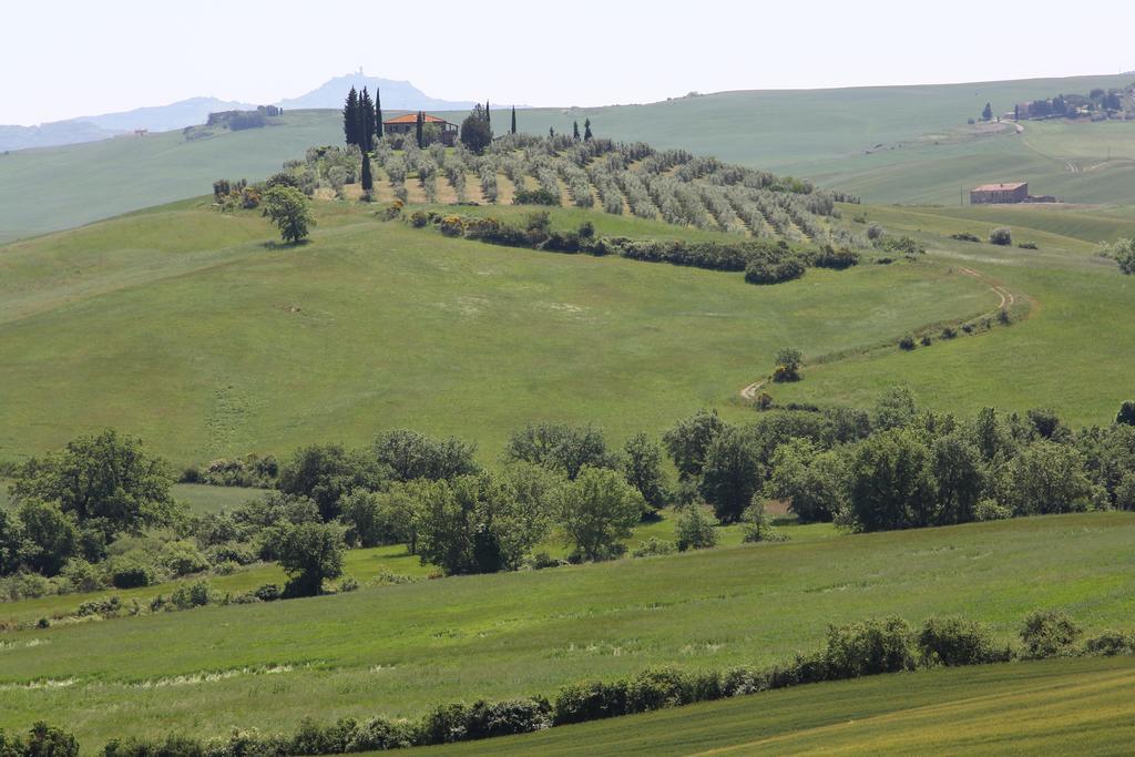 La Terrazza Sulla Val D'Orcia Apartman Castiglione dʼOrcia Kültér fotó